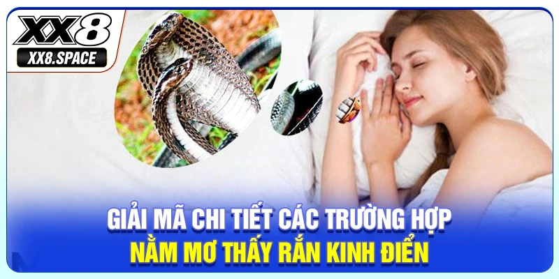 Giải mã chi tiết các trường hợp nằm mơ thấy rắn kinh điển 